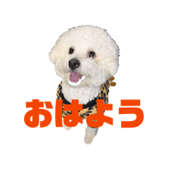 sarii_20260417221141