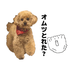 pon.onni_20260417221037