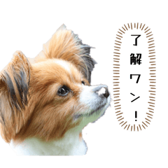 Kancha_20260417201108