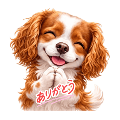 yuu chan_20260417200905