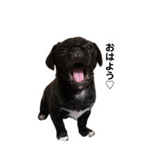 ponmugi_20260417201549