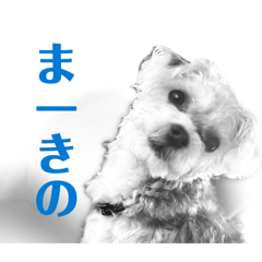 Koyasan_20260417201255