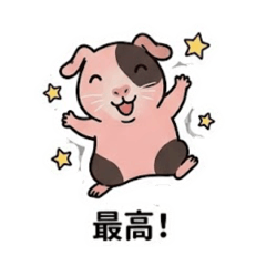 aochan_20260417225556