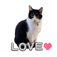 mugi choco_20260417231529