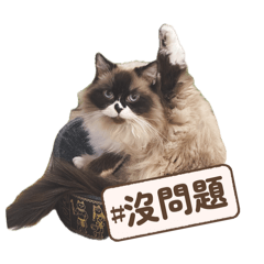 Chlöe的職場生活