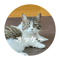 This is a stamp of my cat.