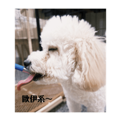 快樂米香