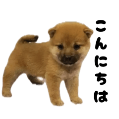 tenmama_20260417235609