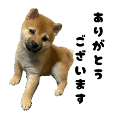 tenmama_20260417235904