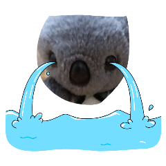 ISSEI_20260414142432