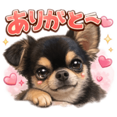 Momo_20260417234717