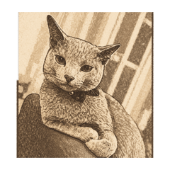 monmo_20260414153122