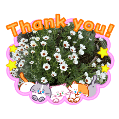 Eichan_20260417165510