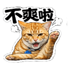 煩躁的 阿貓旺財