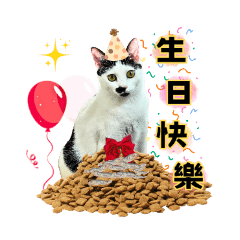 不愛說話的牛奶貓-日常用語