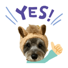 shushu_20260418045035