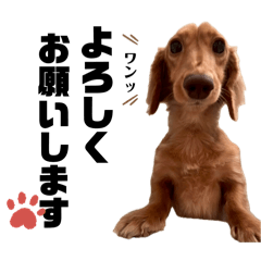 Chiiiii_20260417231148