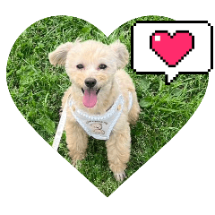 saiki_20260417184324