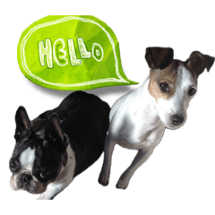 sabume_20260417184958