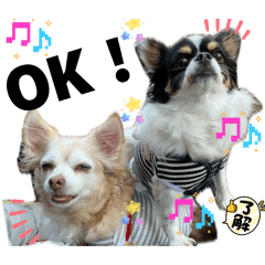 Milkcocoa_20260417185438