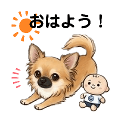 cak.s_20260417181202