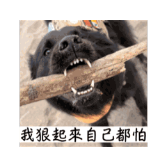 大海動起來第二彈