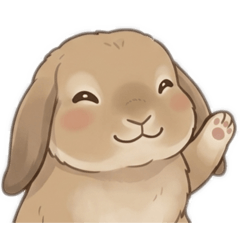 G-HEAD_20260417184301