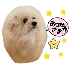 yuka_20260418090910