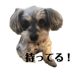 Karen_20260418004935