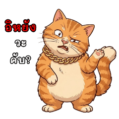 MEETHONG The Coolest Cat
