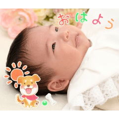 Barutanseijin_20260418084648