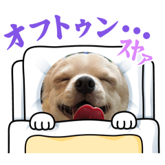 Tachan_20260418082115