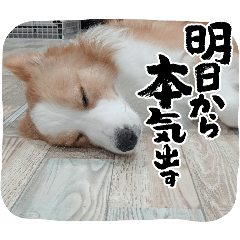 Sana_20260418085439