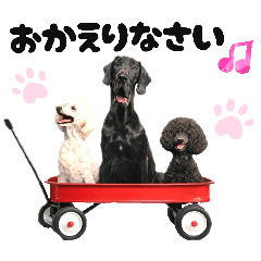 yukimaru_20260418124528