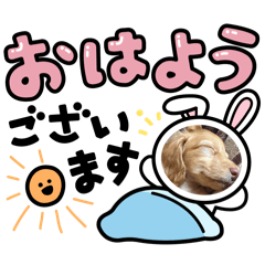 Kapiiii_20260417222519