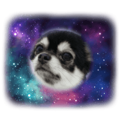 ncncz_20260418101301