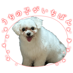 Chikuwa_20260418100710