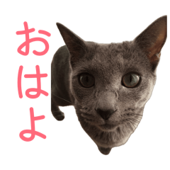 natsuki papa_20260418101758