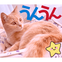 Mochioba_20260418144107