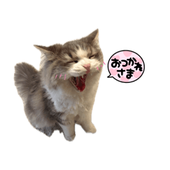 tono_20260418000832