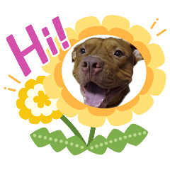 sooju_20260417231622