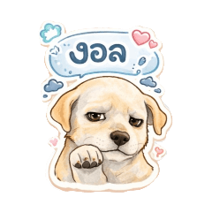 Jiranan_20260418093903