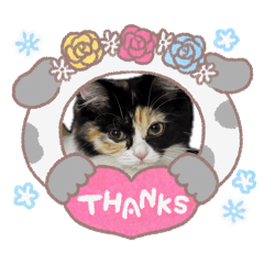 Eyebrowwwww_20260418104542