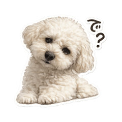 yururin_20260418095210