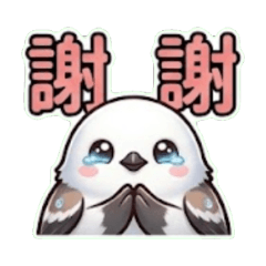 The Daily Life of a Little Round Bird