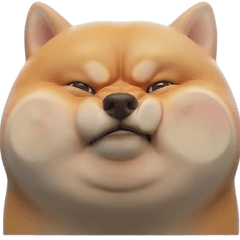 圓滾滾柴犬：大臉攻擊