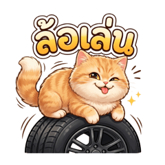 The Cute & Chubby Orange Cat