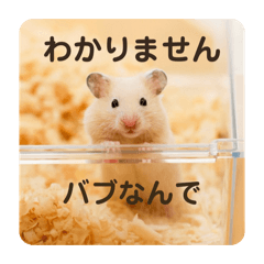 DONGURI_20260418121946