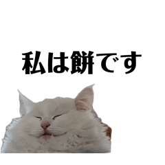 mikka_20260418125220