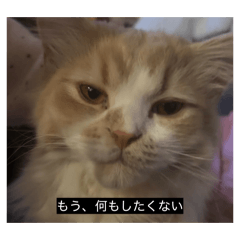 Tsumugi_20260415015025